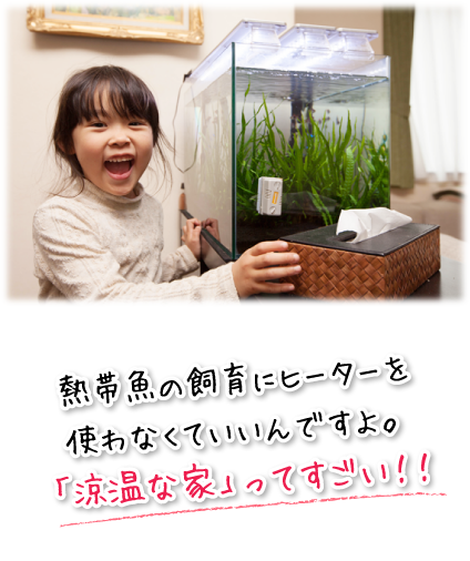 熱帯魚の飼育にヒーターを使わなくていいんですよ。「涼温な家」ってすごい!!